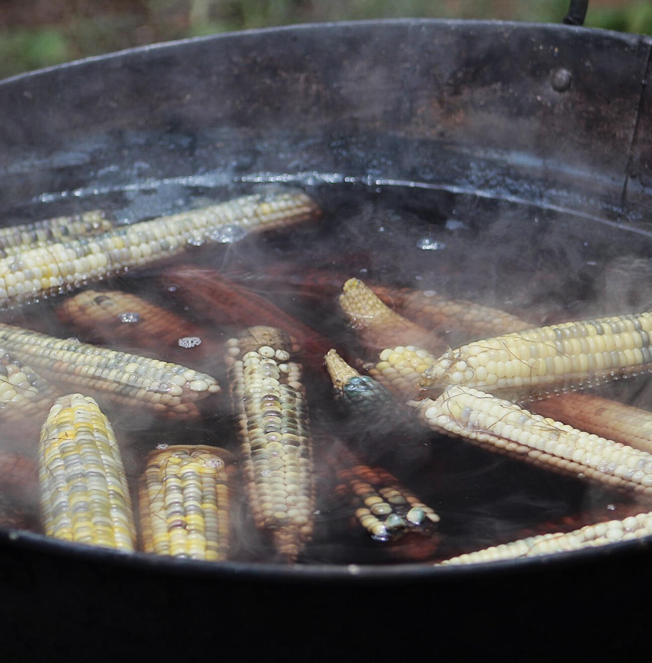 Corn at the Tepēyōllōyl Project Corn boiling in a pot