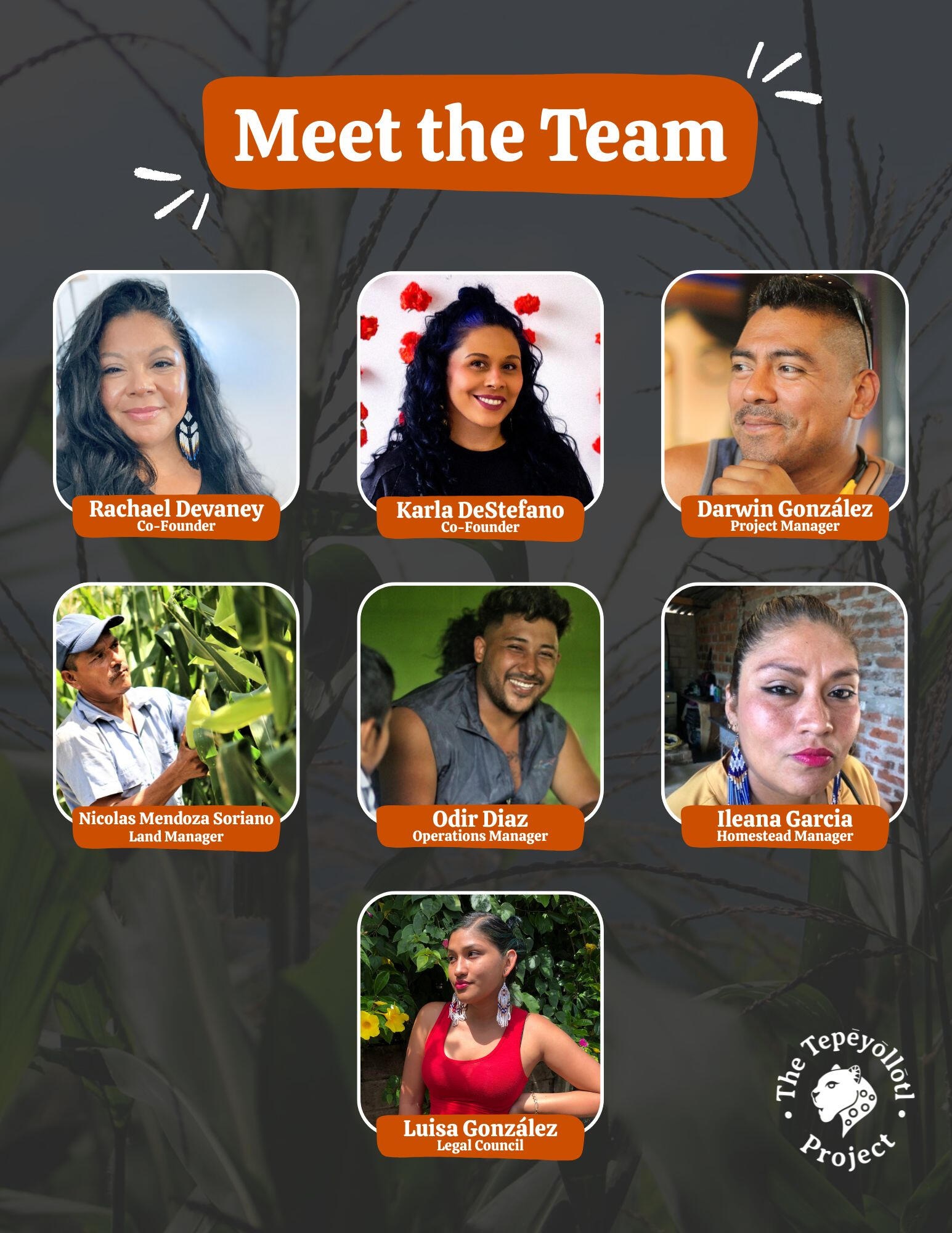 Meet The Team